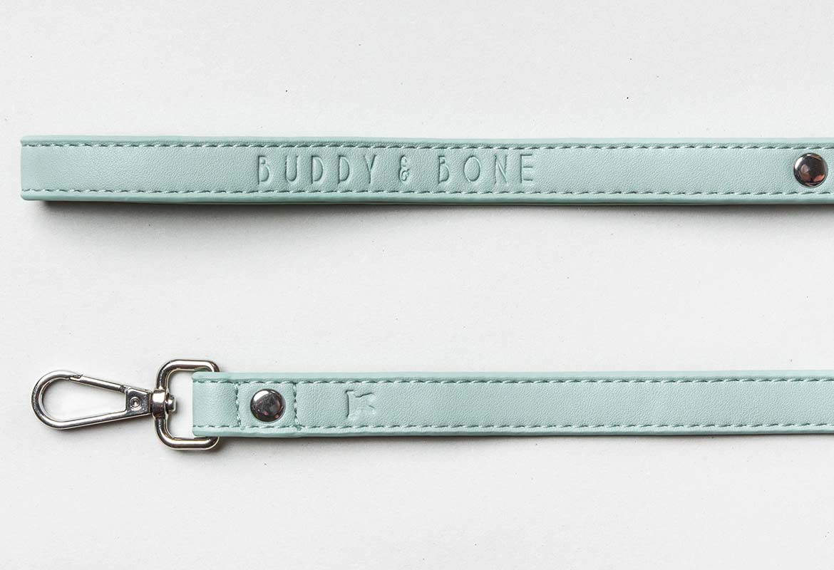 Buddy & Bone Mint Dog Lead