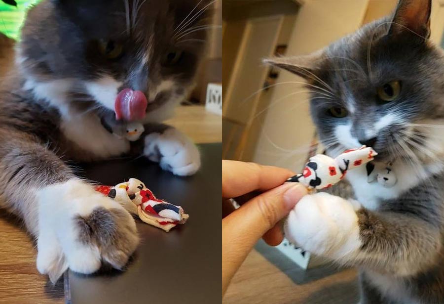 Knotted Cat Toys