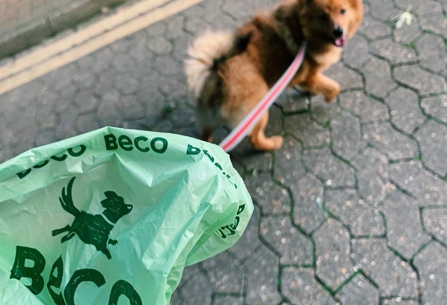 Beco poo bags