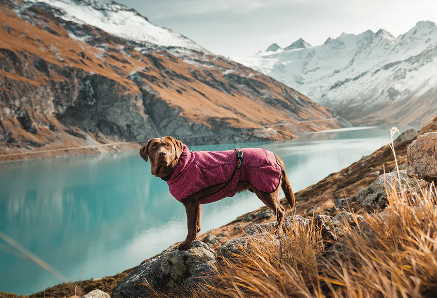 Wilderdog Fleece Jacket