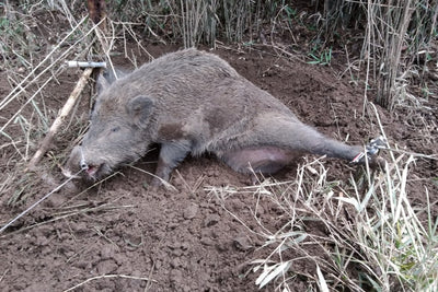 獣害対策 ニホンザルの被害防除 捕獲 駆除について イノホイ オンラインショップ