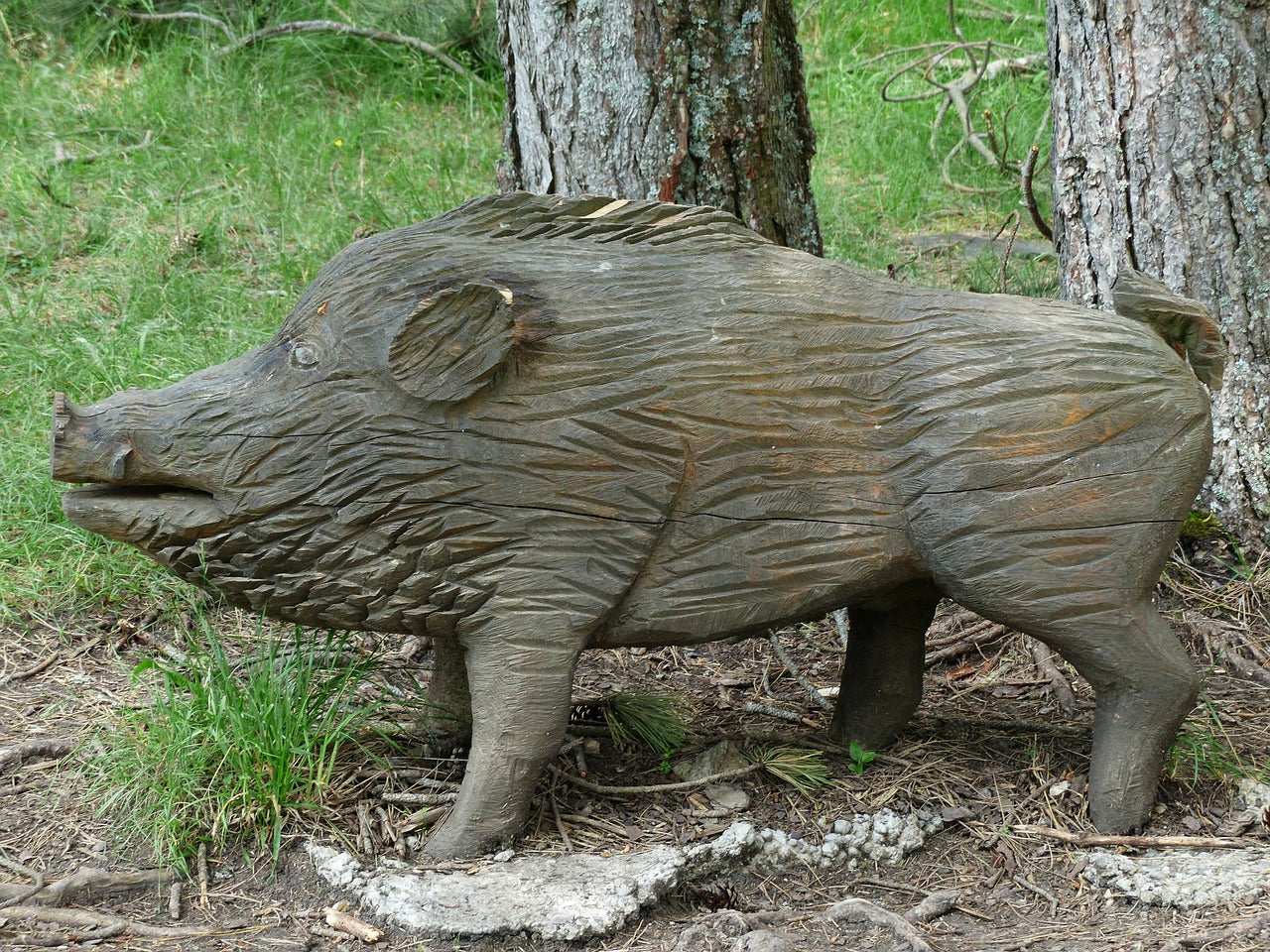 害獣捕獲のための第一歩 ～必要な免許・許可について