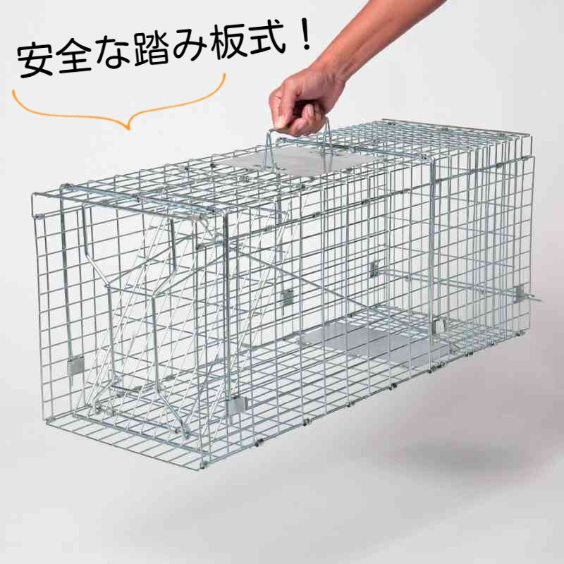 中型獣捕獲に最適