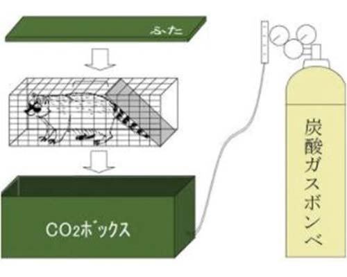 ガズボンベ