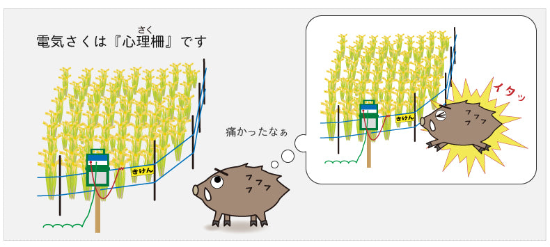 電気柵は心理的な防御