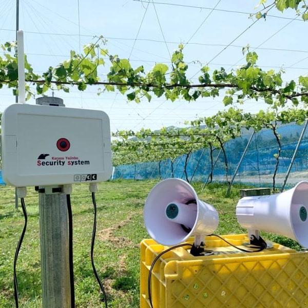 最安値級価格 鳥獣対策 グッズ 追い払い 防除機 イノシシ シカ クマ サル 協和テクノ 田んぼ 果樹園 畑 防獣 防除威嚇機 獣用心棒 KMN-1 