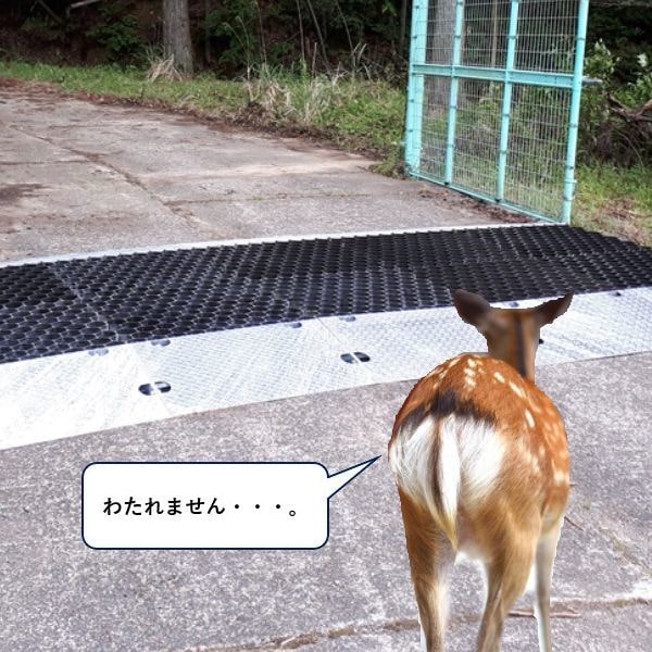 絶対一番安い 鳥獣対策 グッズ 追い払い 防除機 イノシシ シカ クマ サル 協和テクノ 田んぼ 果樹園 畑 防獣 防除威嚇機 獣用心棒 KMN-1 