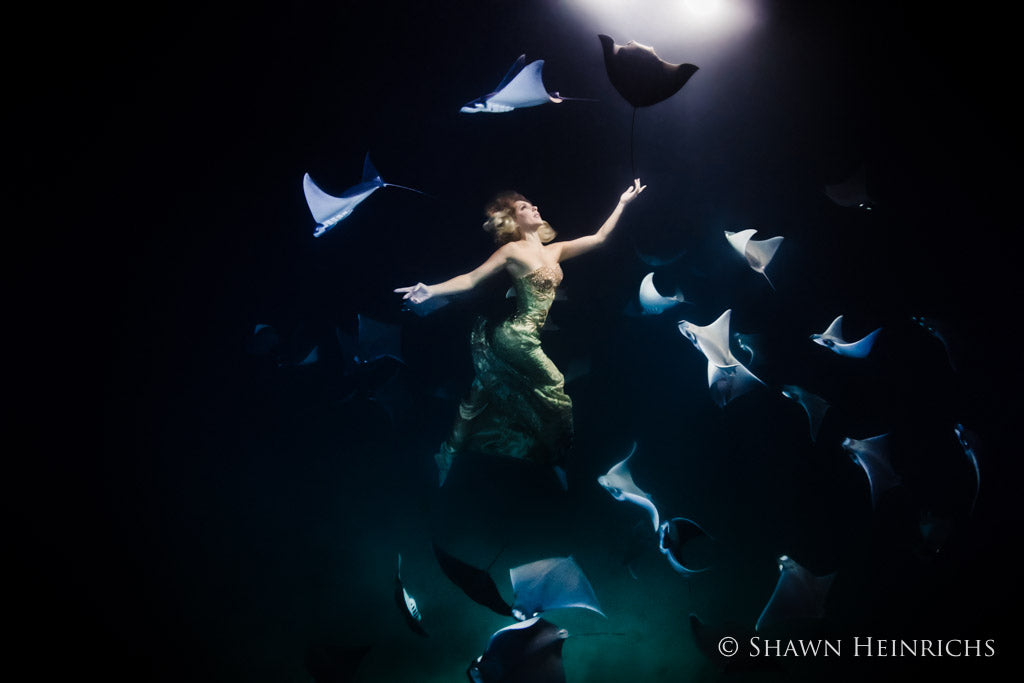 Shawn Heinrichs manta ray swimming with SCUBA diver with lights