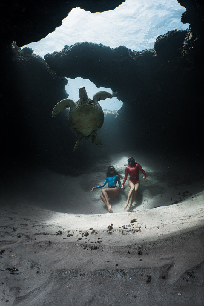 Terry Flanagan two divers and sea turtle on reef