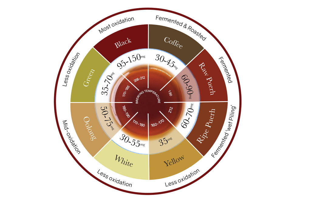 Different types of tea brewing and caffeine content