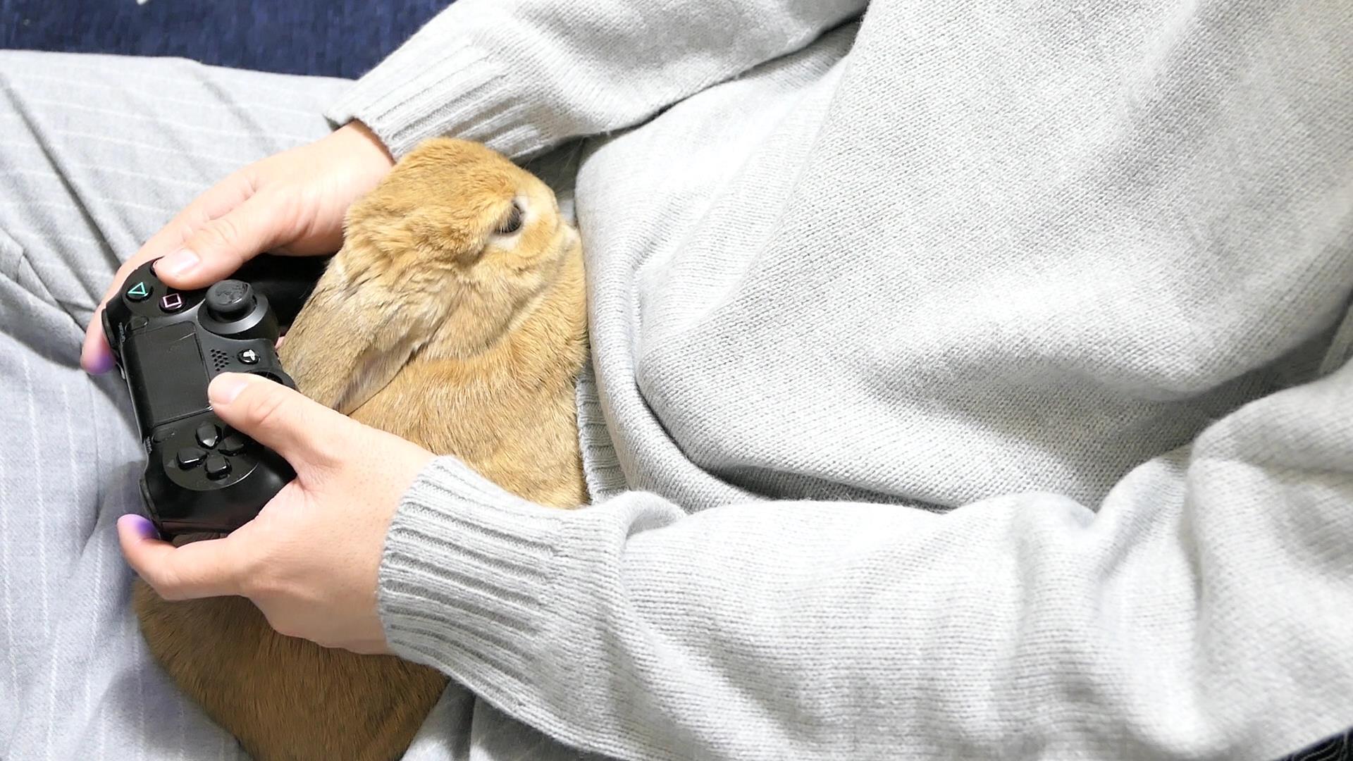 スタちゃんねる うさぎ部屋 のオリジナルグッズ スタ Muuu ムー