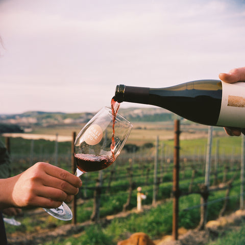 A glass of wine being poured on Pali Vineyard