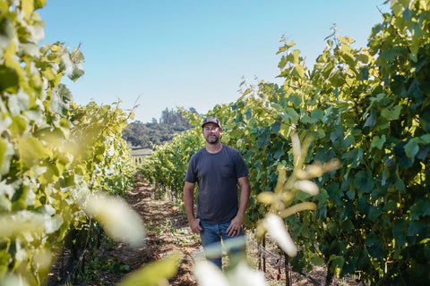 Aaron Walker, winemaker, on Pali Vineyard