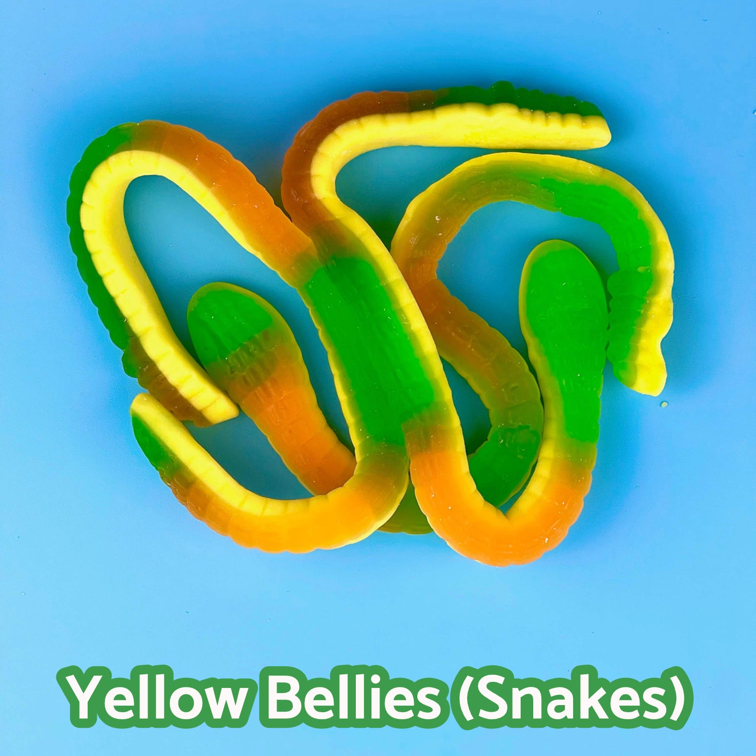 Yellow Bellies