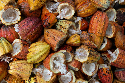Sustainable cocoa