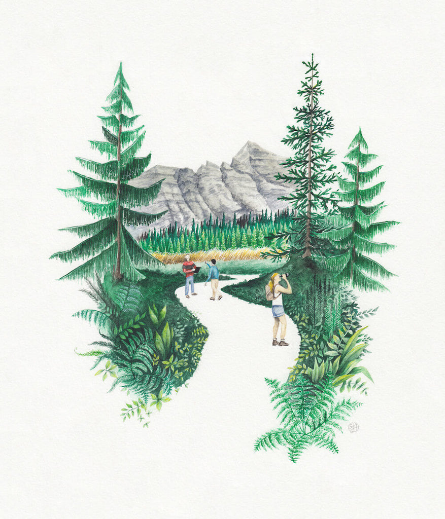 forest illustration of trees, ferns, mountains, and people looking around on trail