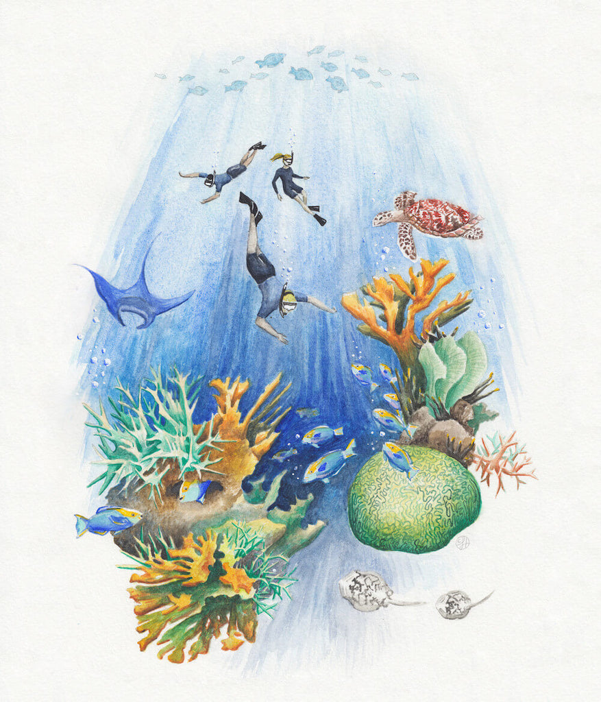 illustration of divers in coral reef