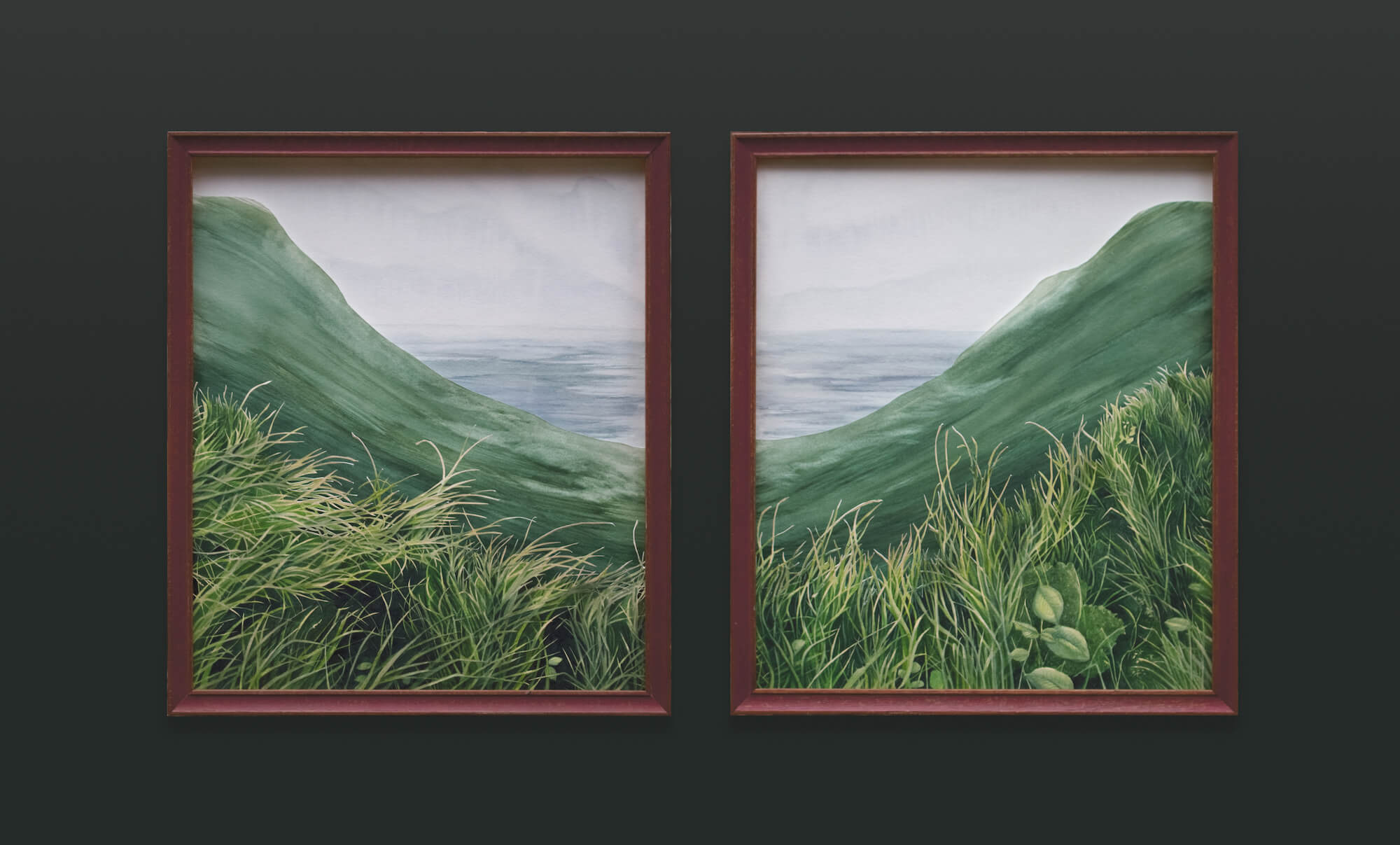 grassy landscape with hills looking out to ocean framed on green background