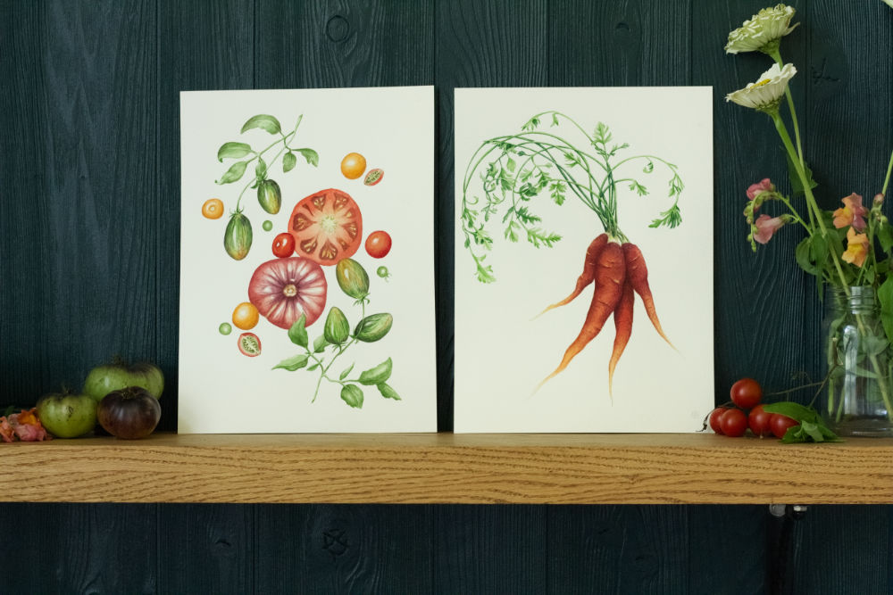 Heirloom Carrot and Summer Splendor tomatoes paintings by Courtney Hopkins