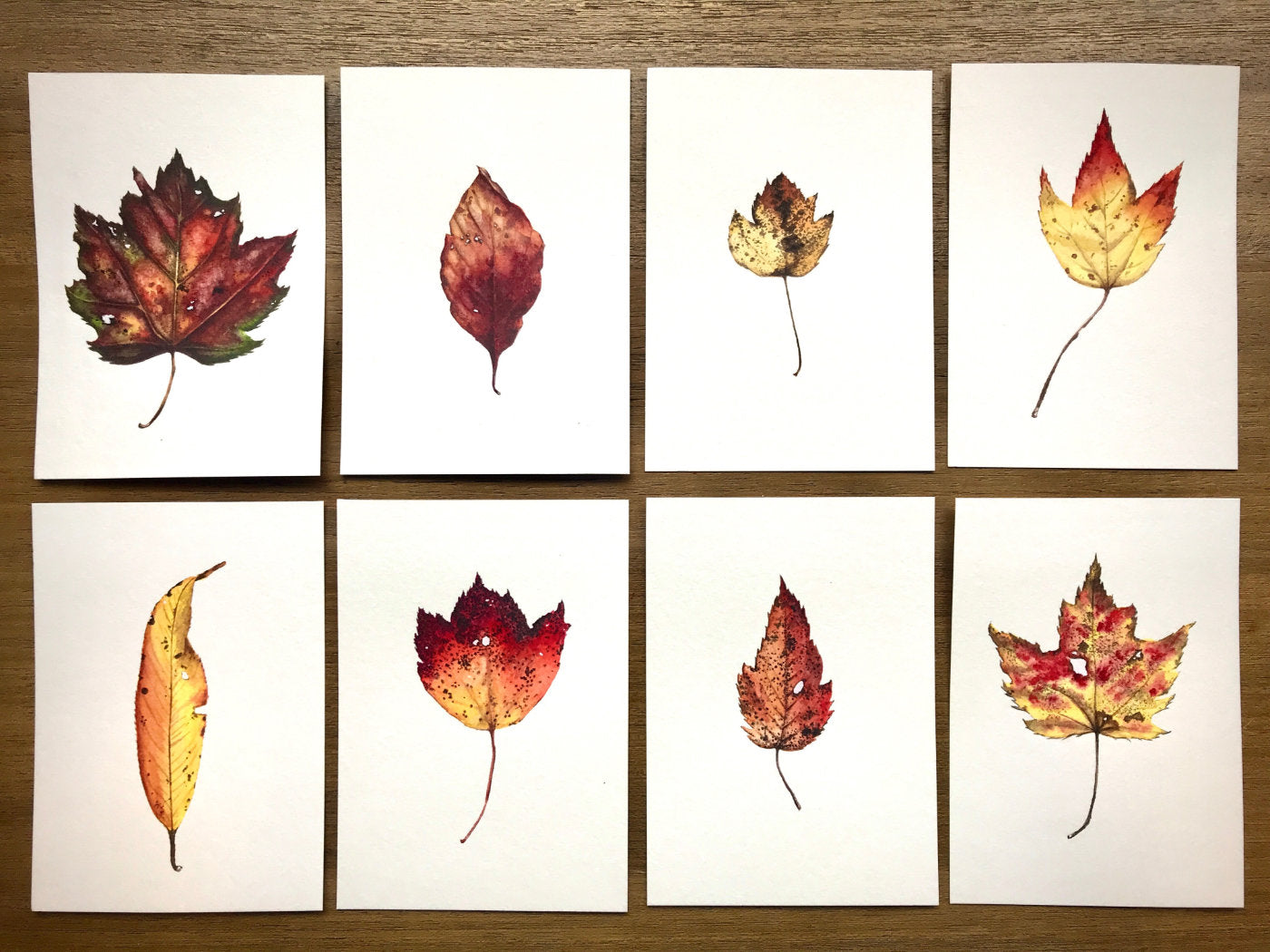 Autumn Leaves by Courtney Hopkins