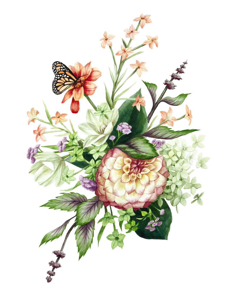 The Impatient Gardener x Tiny Pine Art Collaboration artwork: floral illustration with butterfly