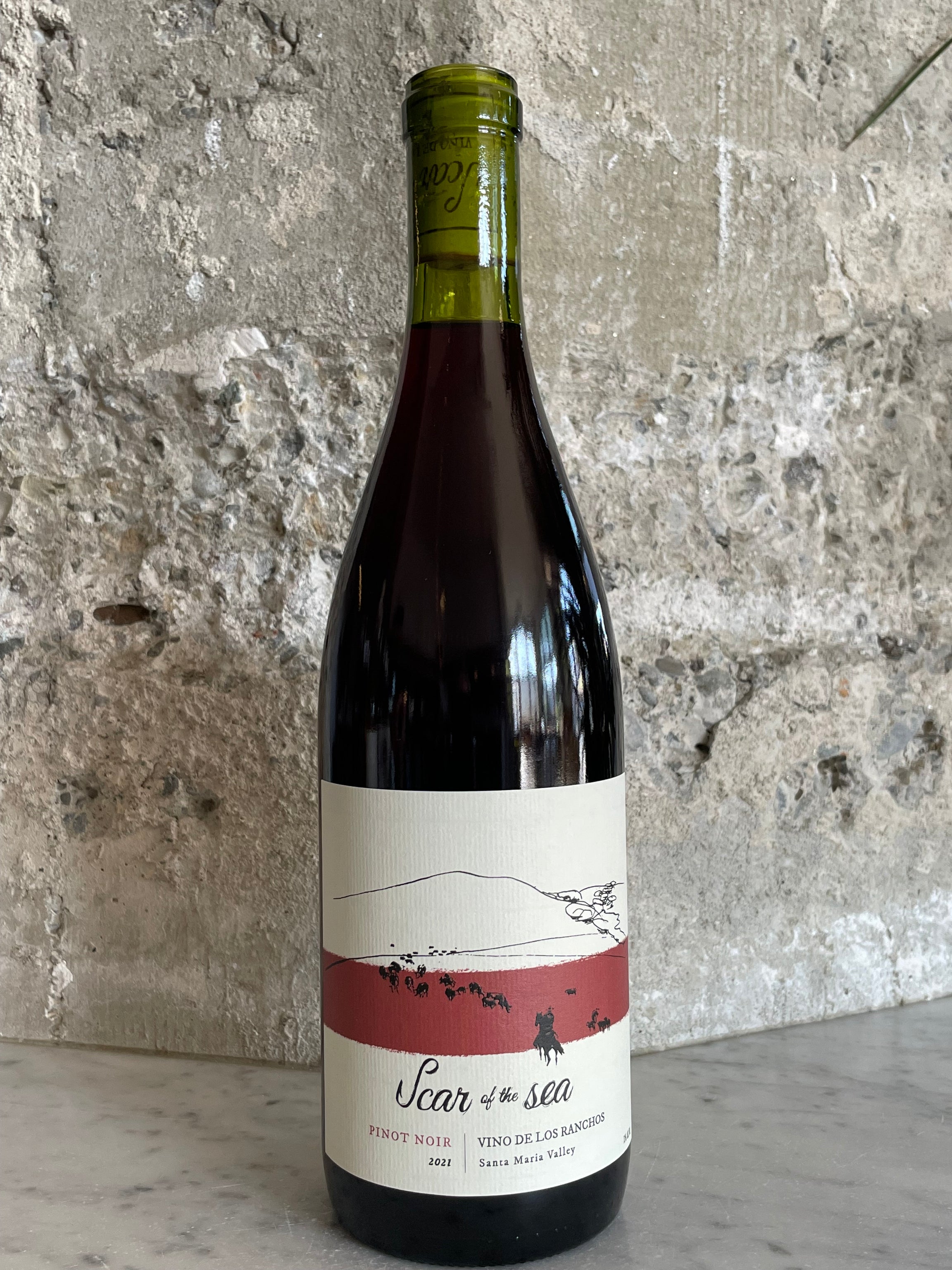 Scar of the Sea Pinot Noir 'Vinos Los Ranchos' 2021 – Tomorrow's Wine