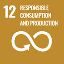 Responsible consumption and production SDK goal