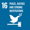 Peace, justice and strong institutions SDG