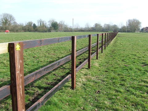 Choosing The Right Horse Paddock Fencing