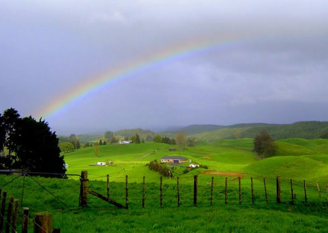 Choosing The Right Horse Paddock Fencing