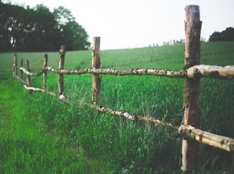 Choosing The Right Horse Paddock Fencing