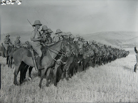 How Horses Were Used In World War I And II