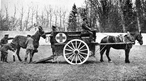 How Horses Were Used In World War I And II