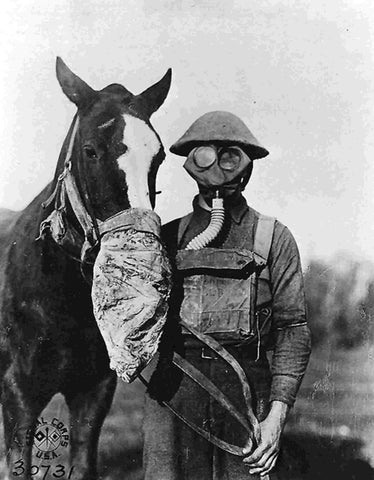 How Horses Were Used In World War I And II