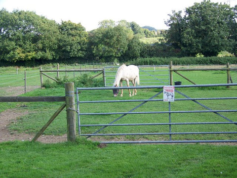 Making The Best Use Of A Small Acre Farm