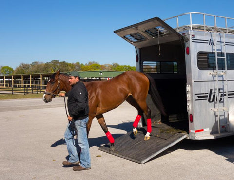 Preparing Your Property for a New Horse: Tips for a Cosy and Safe Home