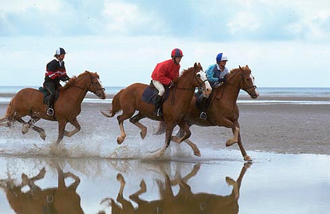 The best equestrian-friendly holiday destinations in the UK for horse lovers