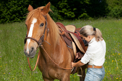 The Essential Guide to Saddle Fitting: Why It Matters in Every Discipline
