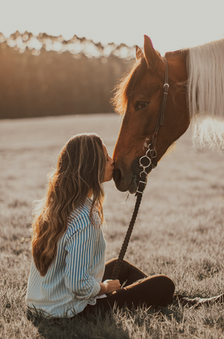 CBD for horses - everything you need to know