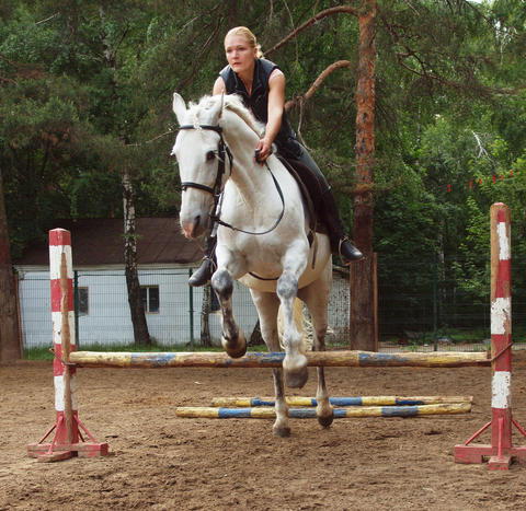 Mastering Horseback Riding Techniques: Lessons and Training Tips for Riders in the UK