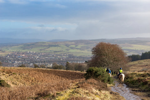 The best equestrian-friendly holiday destinations in the UK for horse lovers
