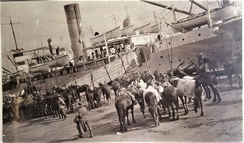 How Horses Were Used In World War I And II