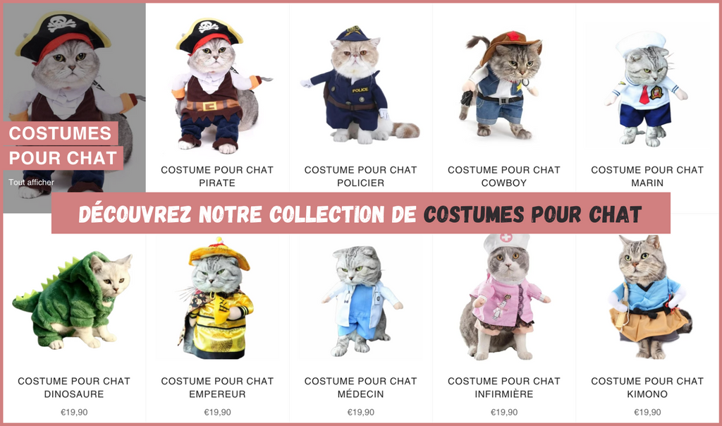 Costume pour chat