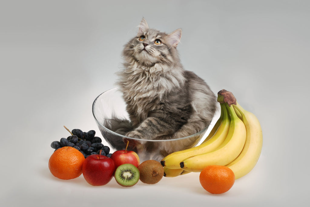 Cat fruits