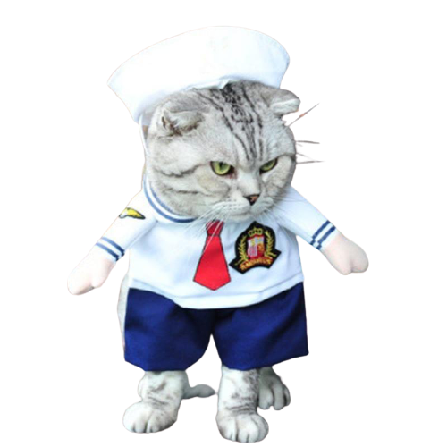 Costume Pour Chat Marin L Monde Chat