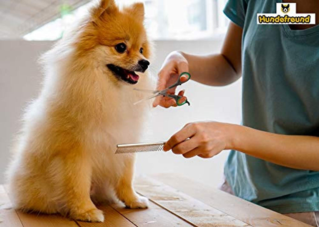 Hundefreund HundescherenSet mit Effilierschere zur Fellpflege Scher