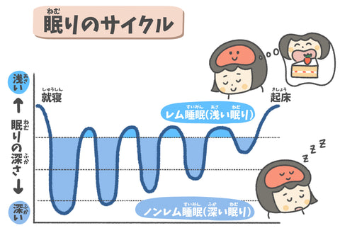 眠りのサイクル