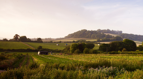 Haye Farm in Devon