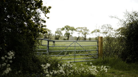 gate & hedgerow