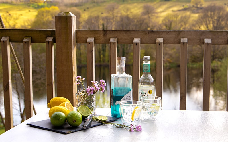 organic gin and tonic, gin cocktail recipes, gin delivery uk 